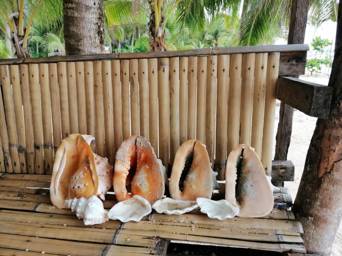 Anajawan Island Beachfront Resort General Luna  Exterior foto